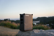 Load image into Gallery viewer, SOUNDBOKS 4 x STEVE ANGELLO